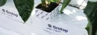 Субстрат для овочів Grotop Expert