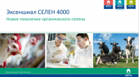Органический Селен Excential Selenium 4000 (L-селенометионин) Orffa